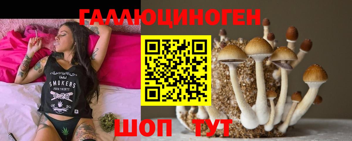 Дюртюли  Псилоцибиновые грибы ЛСД  Вход с VPN 